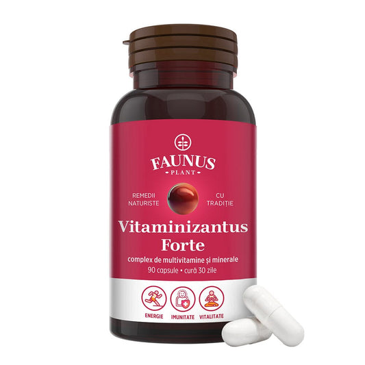Vitaminizantus Forte - Capsule cu multivitamine și minerale de calitate. Echilibru, energie și vitalitate pentru o viață activȓ și solicitantă. Flacon 90 capsule