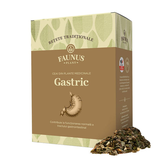 Rețete Tradiționale, Ceai - Gastric 180g. Amestec plante medicinale pentru aciditate gastrică și disconfort digestiv
