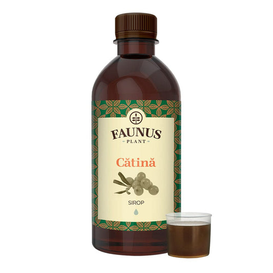 Cătină - Sirop. Flacon 500ml. Efect vitaminizant, tonic, recomandat pentru anemii și imunitate scăzută