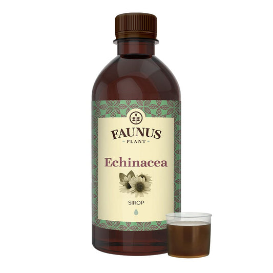 Echinacea - Sirop. Flacon 500ml. Efect vitaminizant, combate infecțiile și stările gripale