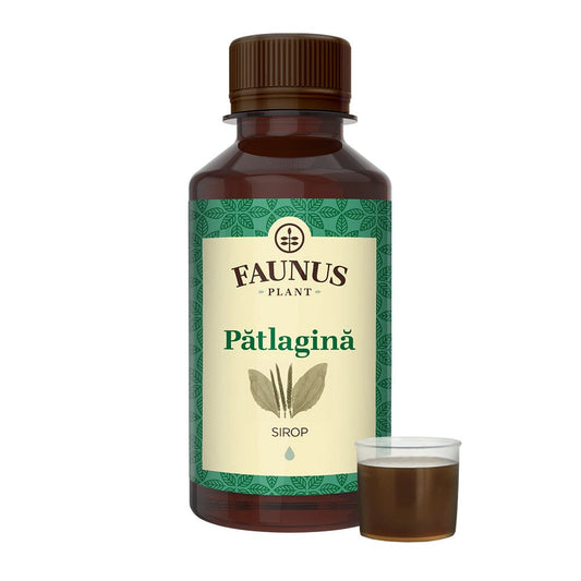 Pătlagină - Sirop. Flacon 200ml. Concentrat din plante medicinale pentru calmarea tusei și sănătatea căilor respiratorii