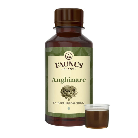 Anghinare - Tinctură. Flacon 200ml. Extract hidroalcoolic concentrat din plante medicinale pentru detoxifierea ficatului și reglarea colesterolului