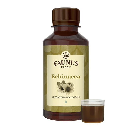 Echinacea - Tinctură. Flacon 200 ml. Extract hidroalcoolic concentrat din echinacea care întărește imunitatea, cu efect antibacterian
