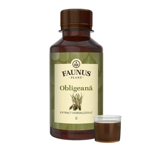 Obligeană - Tinctură. Flacon 200ml. Extract hidroalcoolic concentrat din planta medicinală obligeană pentru indigestii