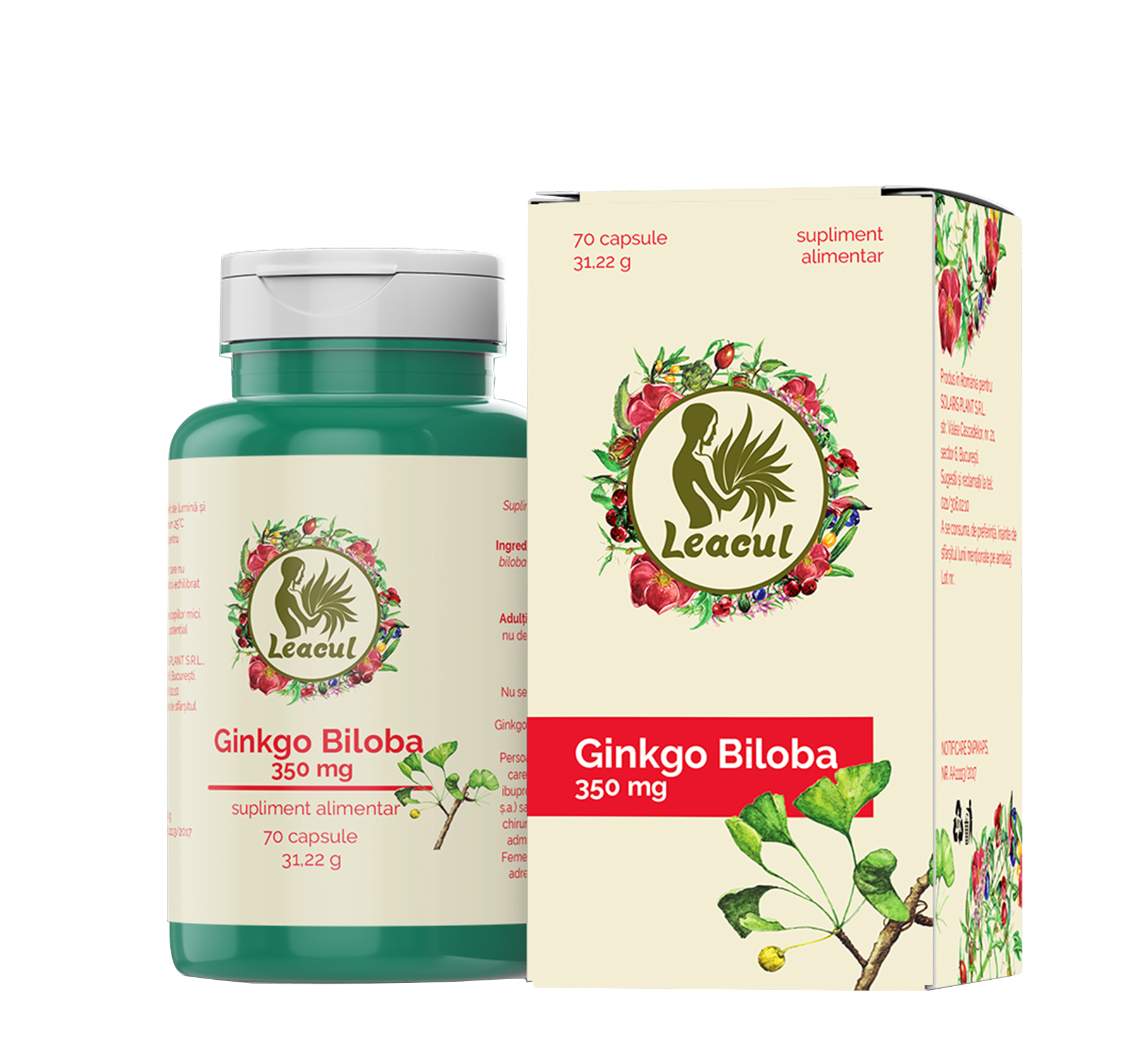 Leacul Ginkgo Biloba