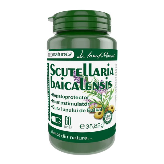 Scutellaria baicalensis 60cps
