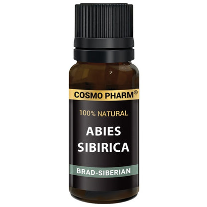 Ulei esential de BRAD-SIBERIAN – Abies siberica