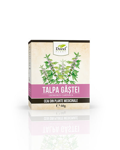 Ceai de Talpa gâștei