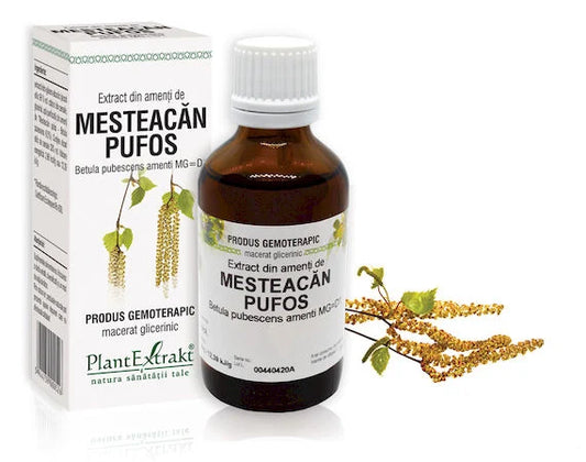 Extract din amenţi de Mesteacăn pufos - Betula pubescens amenti MG=D1, 50 ml