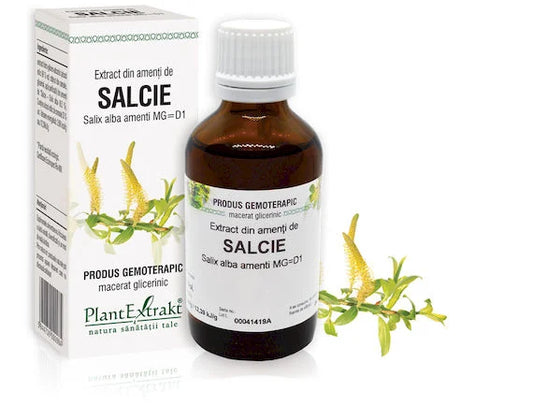 Extract din amenți de Salcie - Salix alba amenti MG=D1, 50 ml