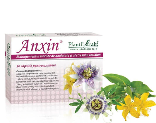 Anxin, 20 capsule, Plant Extrakt