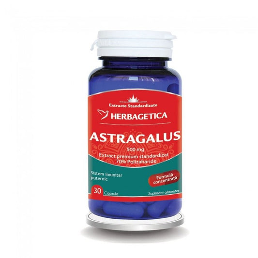 Astragalus Herbagetica 30 Capsule