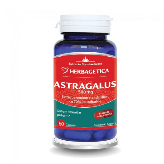 Astragalus Herbagetica 60 Capsule