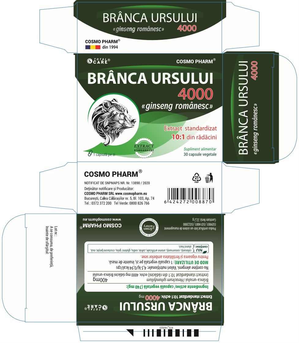 BRANCA URSULUI – Afrodisiac Natural Pentru Femei Si Barbati