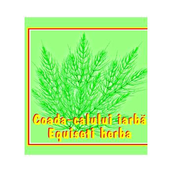 Ceai de coada calului 50g Cyani