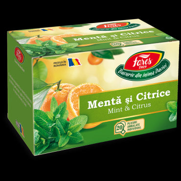 Ceai cu mentă și citrice, Horeca
