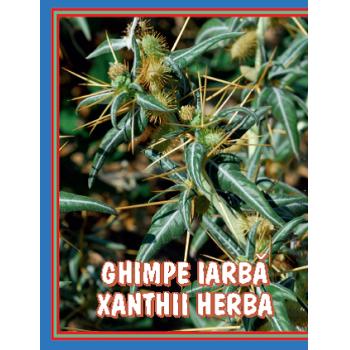Ceai de ghimpe 50g, Cyani
