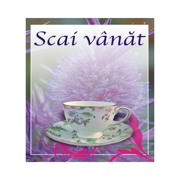 Ceai de scai vanat 50g Cyani