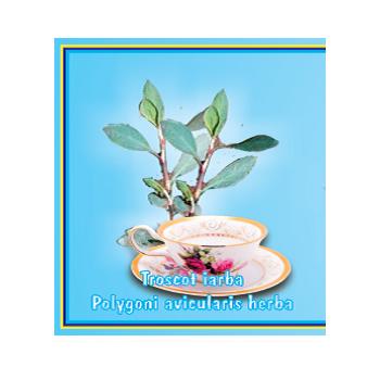 Ceai de troscot 50g Cyani