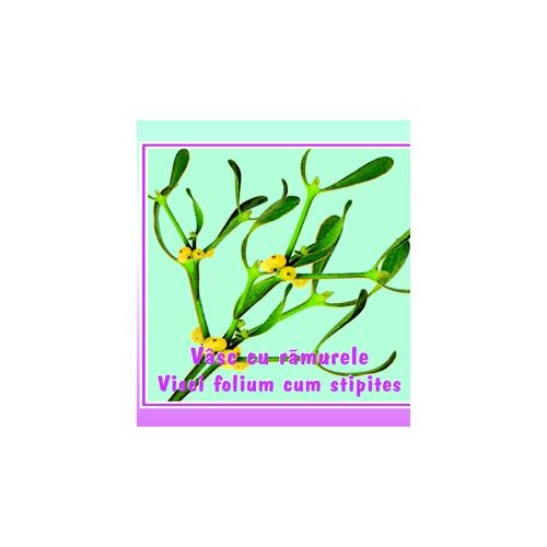 Ceai de vasc cu ramurele 50gr CYANI