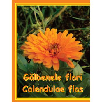 Ceai din flori de galbenele 50g, Cyani
