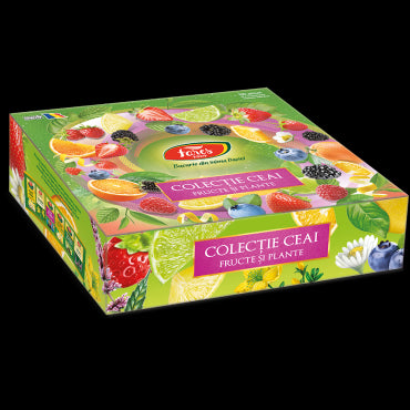 Colecție ceai fructe și plante, Horeca, 180 plicuri