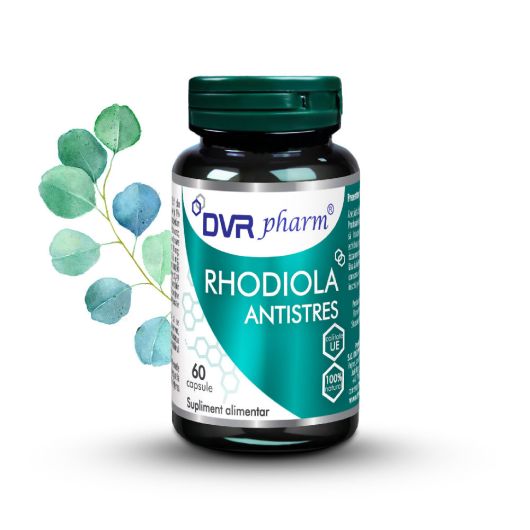 RHODIOLA ANTISTRES, 60 capsule, DVR Pharm