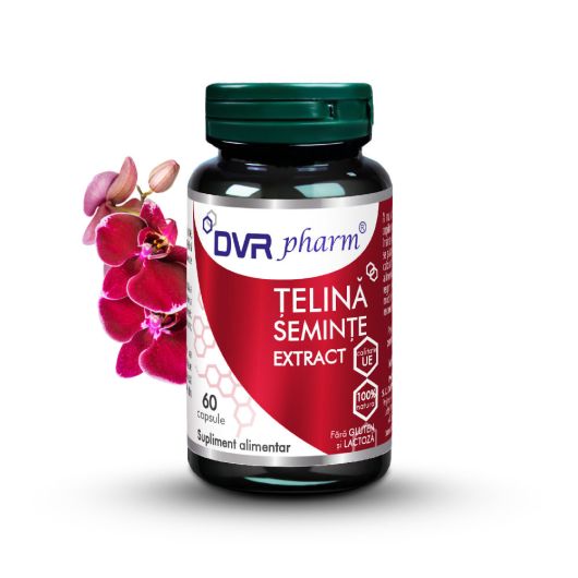 Telina seminte extract, 60 capsule, Dvr Pharm