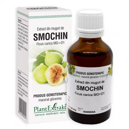 Extract din muguri de Smochin, 50 ml, Plant Extrakt