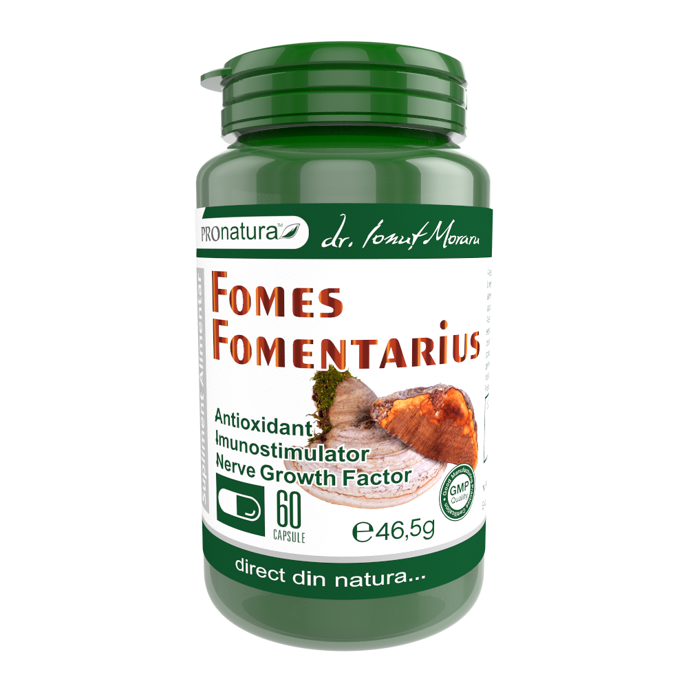 Fomes Fomentarius 60cps