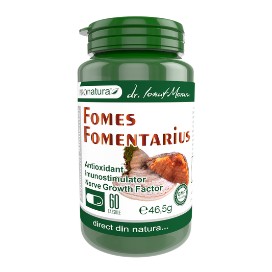 Fomes Fomentarius 60cps