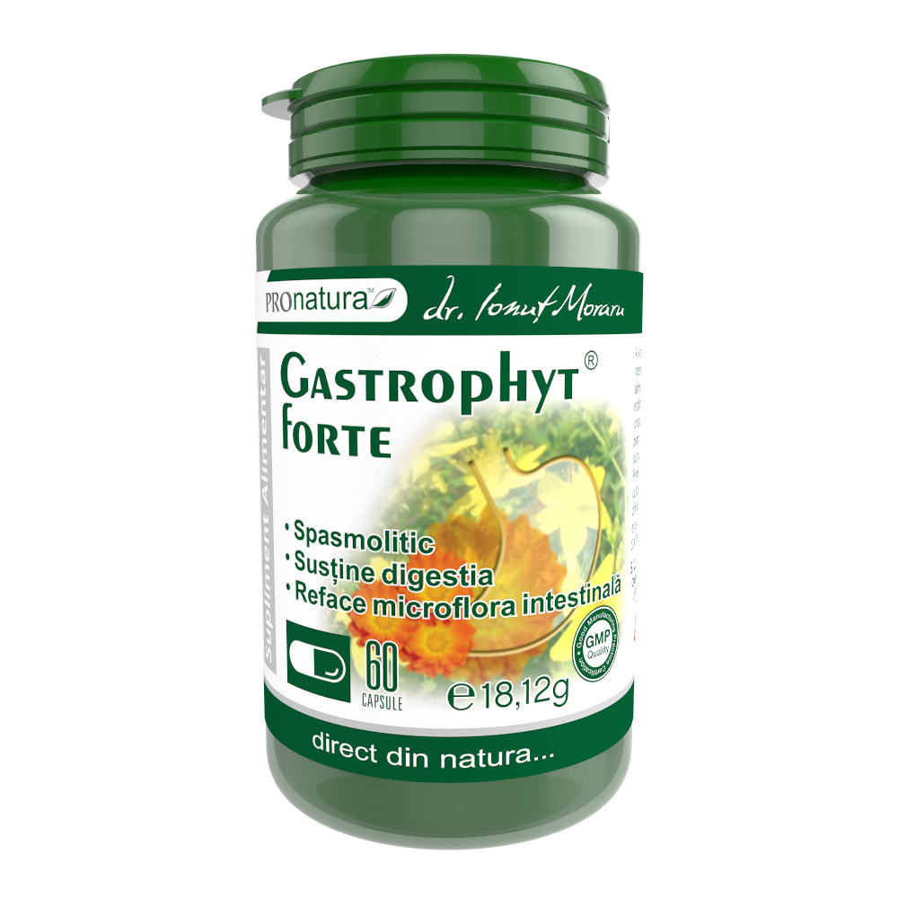 Gastrophyt Forte 60cps