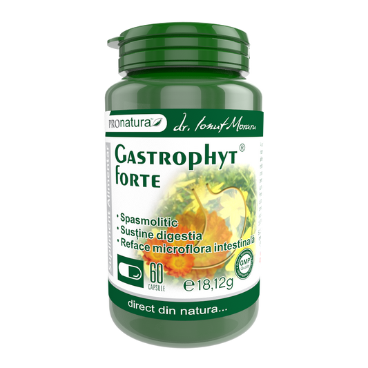 Gastrophyt Forte 60cps