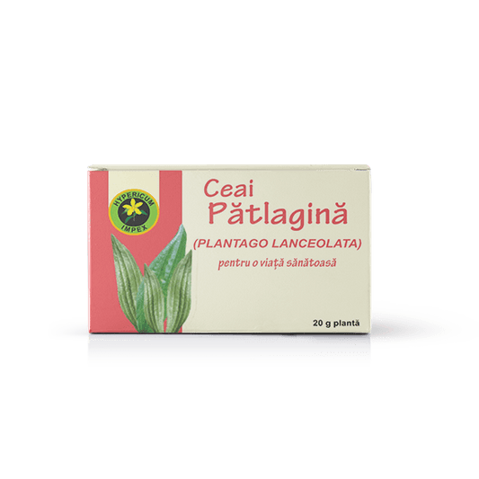 Ceai Patlagina vrac