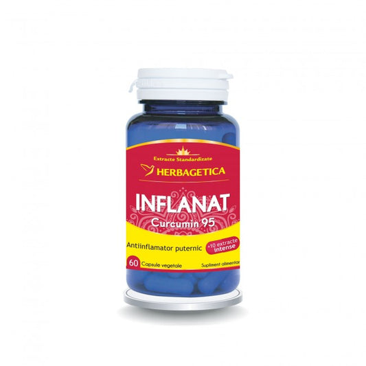 INFLANAT CURCUMIN95