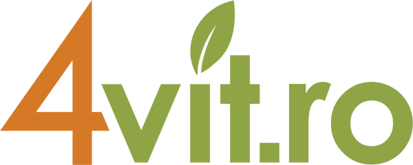 4vit.ro