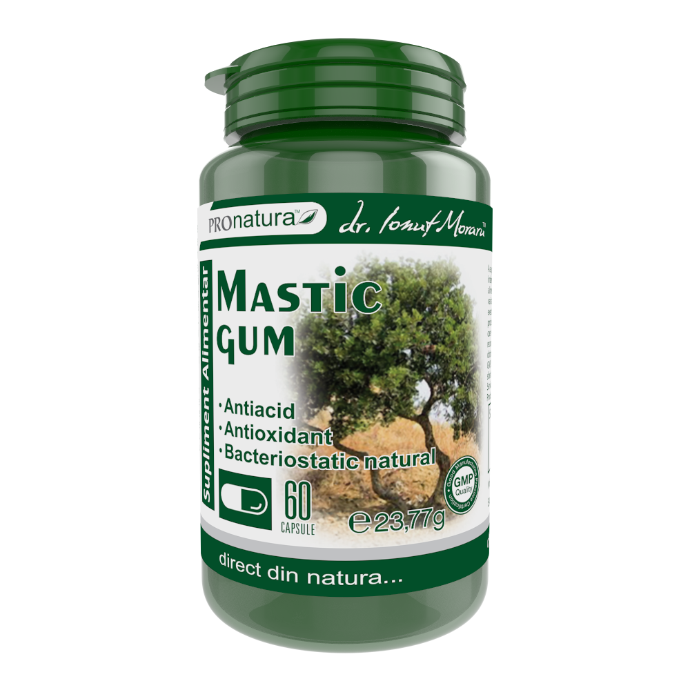 Mastic Gum 60cps