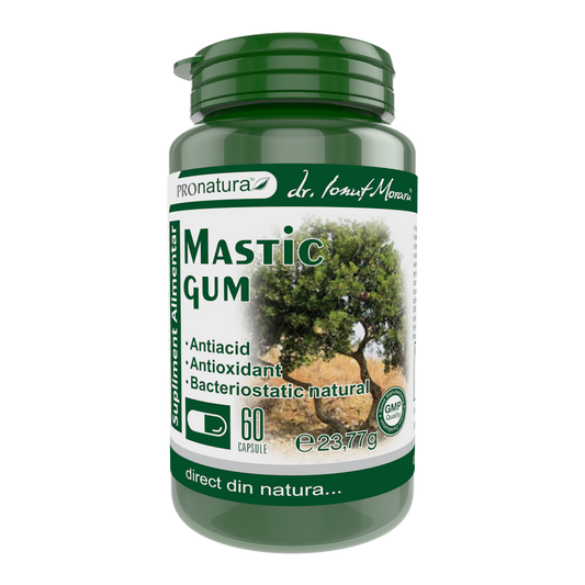 Mastic Gum 60cps