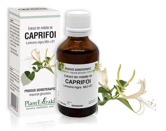 Extract din mlădiţe de Caprifoi negru - Lonicera nigra MG=D1, 50 ml