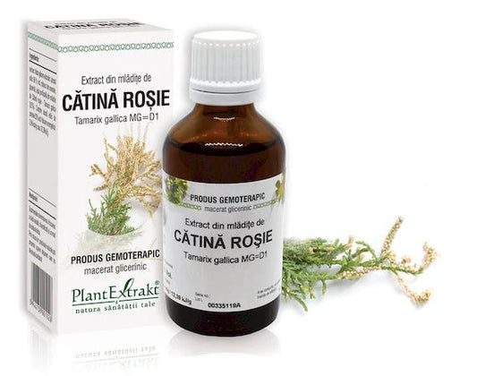 Extract din mlădiţe de Cătină roșie - Tamarix gallica MG=D1, 50 ml