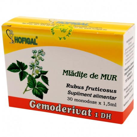 Mladite de mur - Gemoderivat
