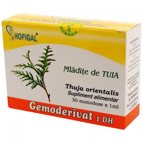 Mladite de tuia - Gemoderivat