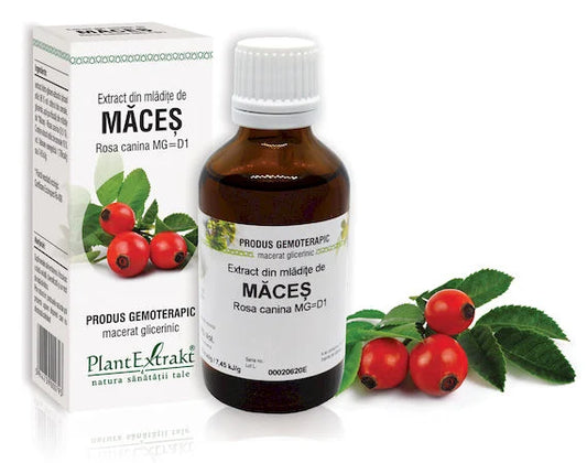 Extract din mlădiţe de Măceş - Rosa canina, 50 ml