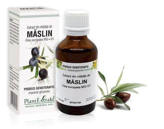 Extract din mlădiţe de Măslin - Olea europaea, 50 ml