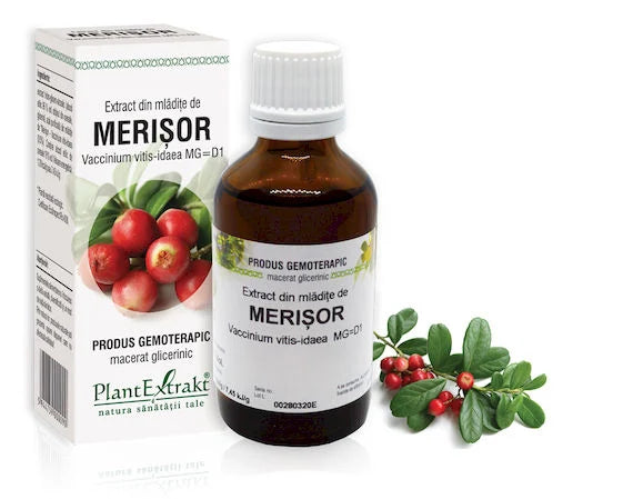Extract din mlădiţe de Merișor - Vaccinium vitis idaea, 50 ml
