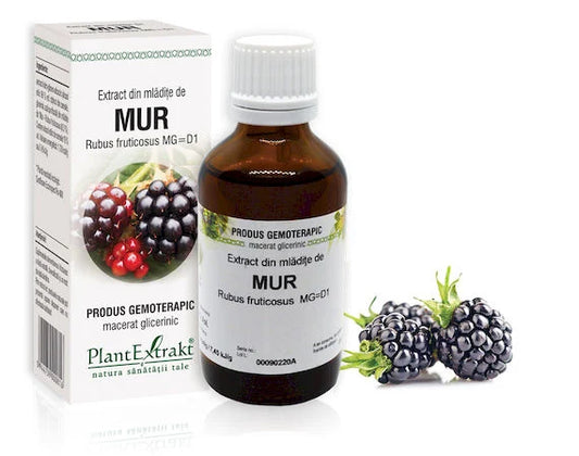 Extract din mlădiţe de Mur - Rubus fructicosus MG=D1, 50 ml