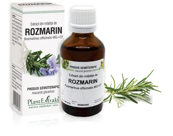 Extract din mlădiţe de Rozmarin - Rosmarinus officinalis, 50 ml