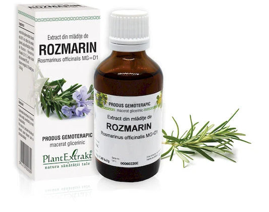 Extract din mlădiţe de Rozmarin - Rosmarinus officinalis, 50 ml
