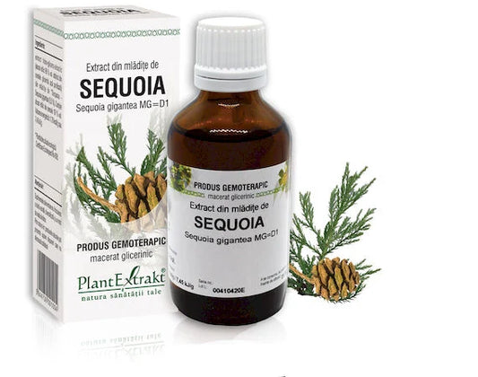 Extract din mlădiţe de Sequoia - Sequoia gigantea MG=D1, 50 ml