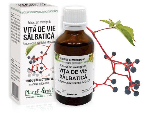 Extract din mlădiţe de Viță de vie sălbatică - Ampelopsis weitchii MG=D1, 50 ml